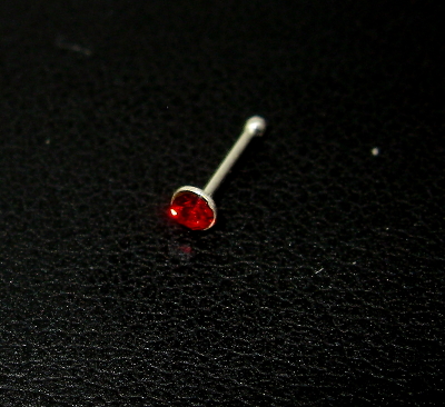 Piercing do nosu